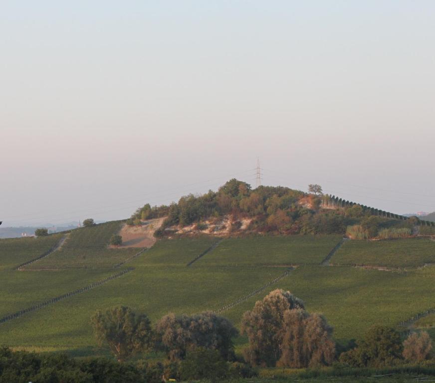 Villa Vecchio Castagnito Екстериор снимка